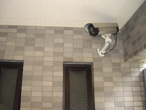 グレイス小杉 建物その他１_199_794.jpg